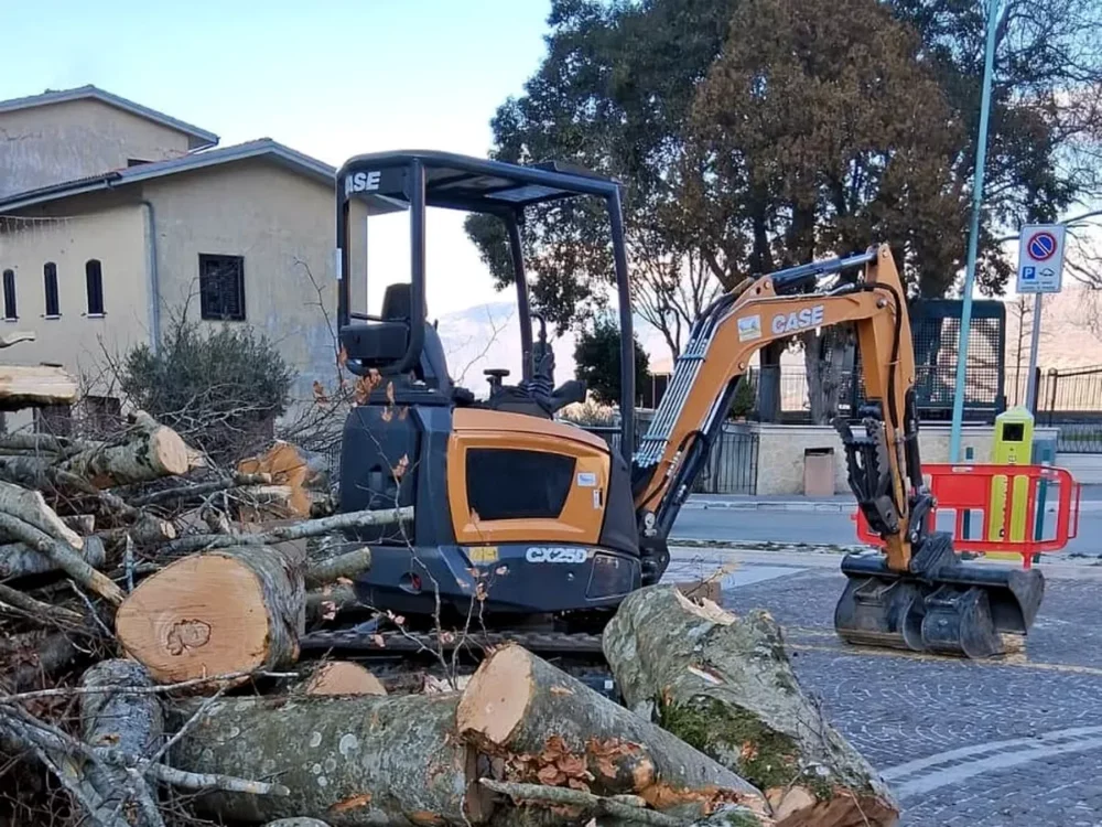 CASE CX25D – Escavatore a noleggio